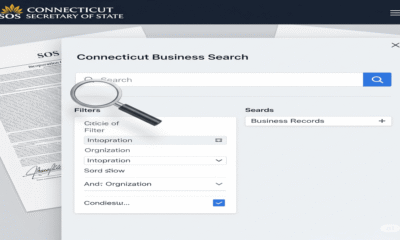 CT SOS Business Search